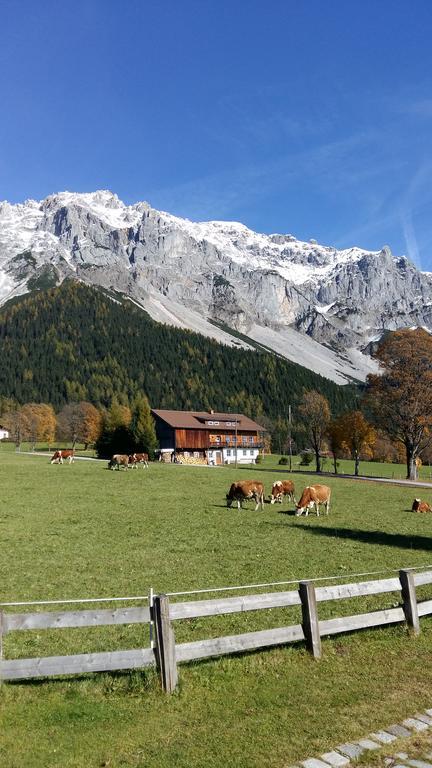 Alpenhaus Birkhahn Hotel Ramsau am Dachstein Bagian luar foto